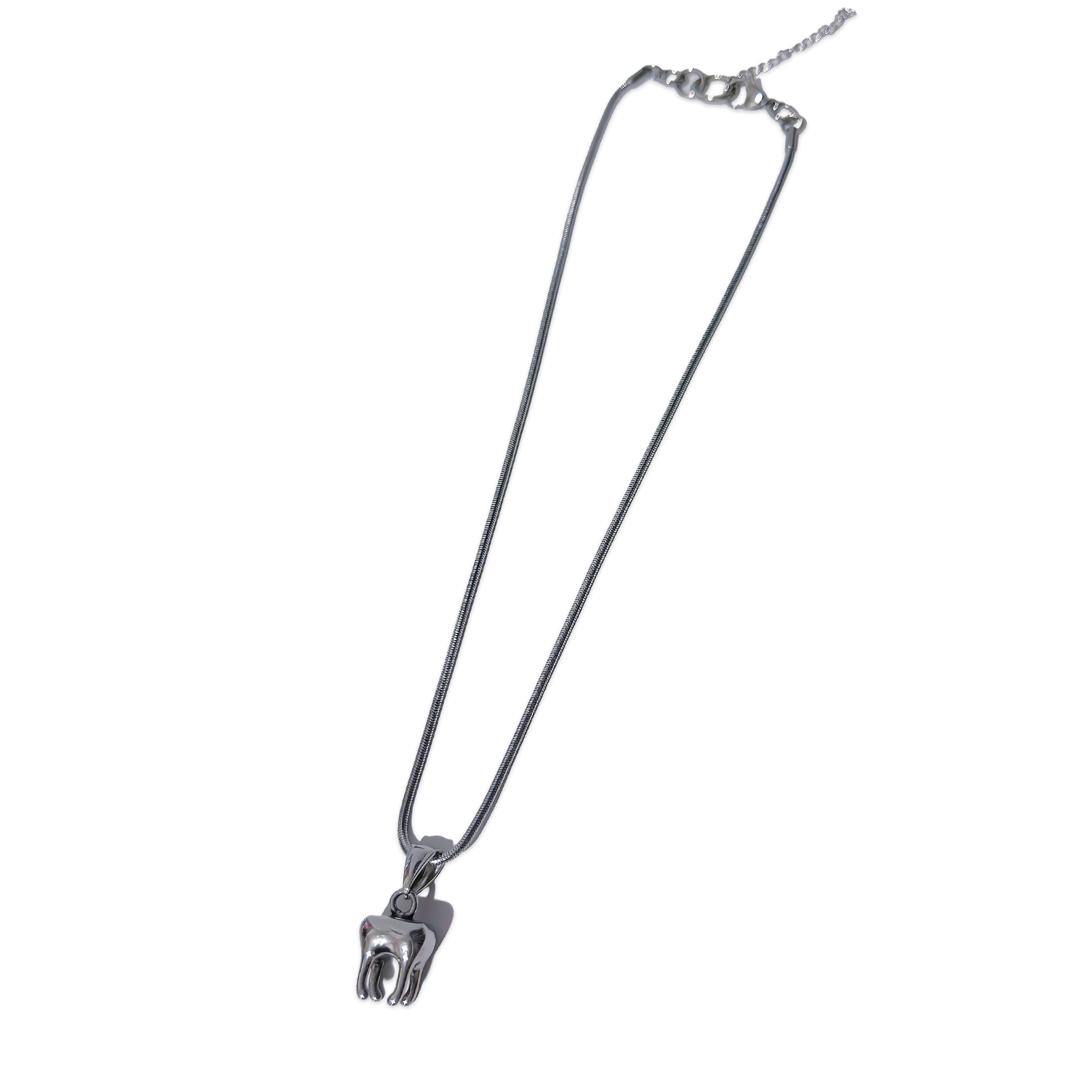 Tooth Necklace